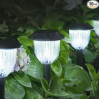 Solar Yard Path Lights 10-Pack, IP65 Waterproof