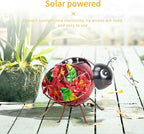 Ladybug Solar Porch Lanterns, Metal Waterproof LED