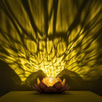 Solar Landscape Lights for Walkway