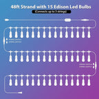 Outdoor Globe Café String Lights, 48ft LED Bulbs