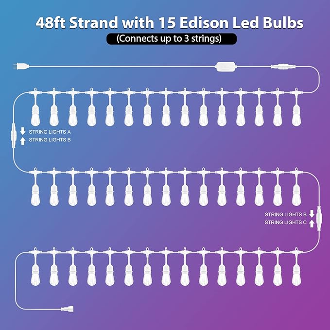 Outdoor Globe Café String Lights, 48ft LED Bulbs