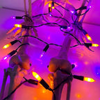2-Pack 16ft Halloween LED String Lights, Waterproof Timer Lights