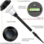 Warm White Solar Pathway Lights 2-Pack, Yard LED