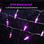 Christmas Porch String Lights 2-Pack, 50 LED Waterproof