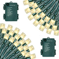 2-Pack Christmas String Lights, 33ft 100 LED Waterproof Twinkle Lights