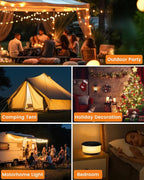 RGB Yard String Lights, 8ft Weatherproof LED