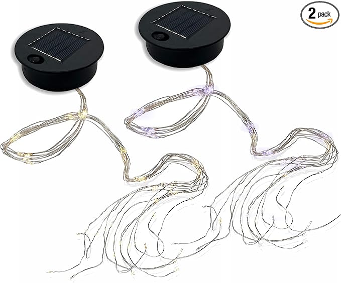 2-Pack LED Solar Novelty Garden Lights