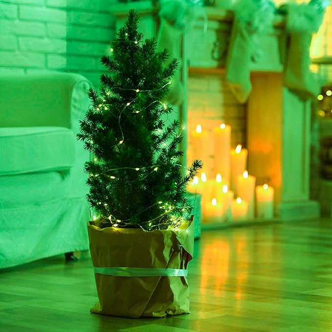 Christmas Fairy Lights 4-Pack, 20ft 60 LED Battery Twinkle Lights