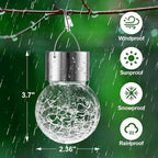 24-Pack Charming Globe Solar Lanterns for Outdoor, Waterproof LED