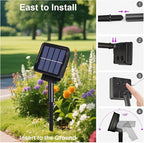 200 LED Solar Novelty Garden Lights