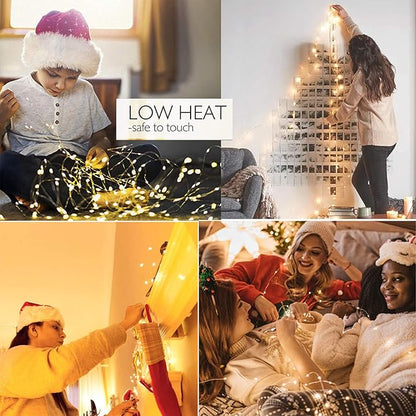 2ft Warm White String Lights for Yard, Waterproof LED
