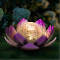 Solar Pathway Lights, Garden LED