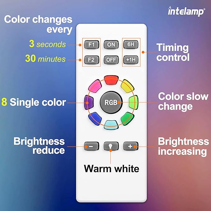 intelamp Solar Pathway Lights Outdoor, 2 Pack 9 Color Changing with Remote Control, Dusk to Dawn Solar Powered Waterproof LED Ground Lighting for House Outside Lawn Garden Yard Patio
