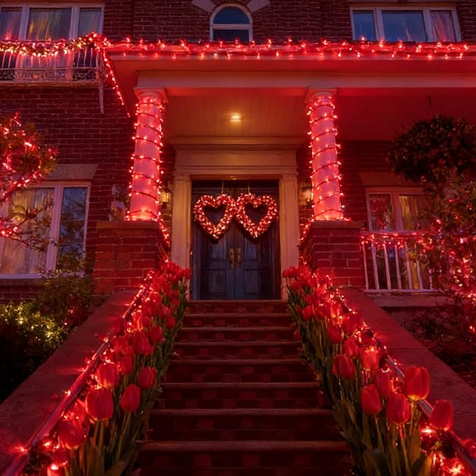 LAMPHOME 100 Count Red Valentine's Day Lights with 20FT Green Wire Waterproof,Mini String Lights for Holiday Decorations, Christmas Tree, Party, Wedding, Xmas, Home, Indoor & Outdoor Use