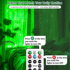 Outdoor String Lights, 8ft Green Waterproof LED