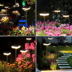 6-Pack Warm White Solar Path Lights, Outdoor Driveway LED