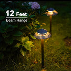 Solar Landscape Lights for Yard