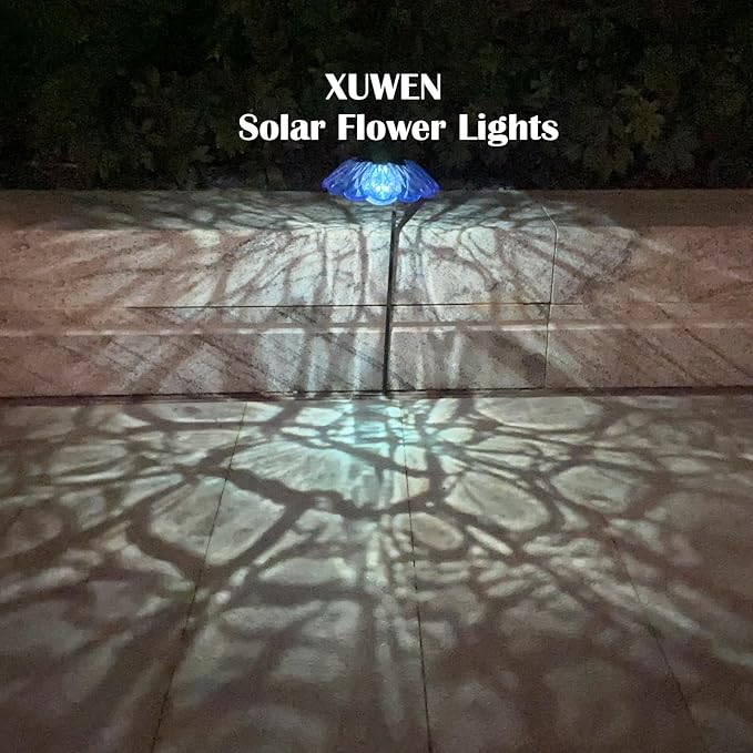 Solar Landscape Lights for Driveway