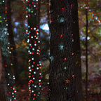 2-Pack 100 LED Christmas Twinkle Lights, 32ft Waterproof for Backyard