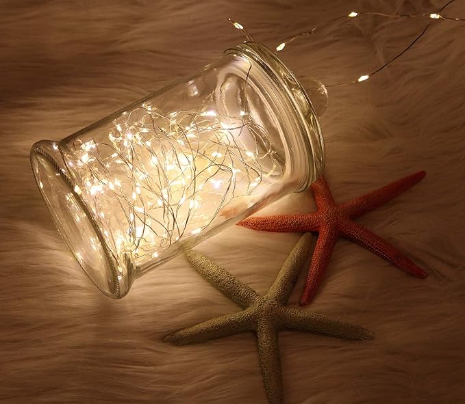 2 Pack 20 Feet 60 Warm White Led Battery Operated Fairy Lights with Remote Control Timer Waterproof Silver Copper Wire Twinkle String Lights for Party Bedroom Wedding Christmas Decorations