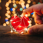 2ft Warm White String Lights for Yard, Waterproof LED