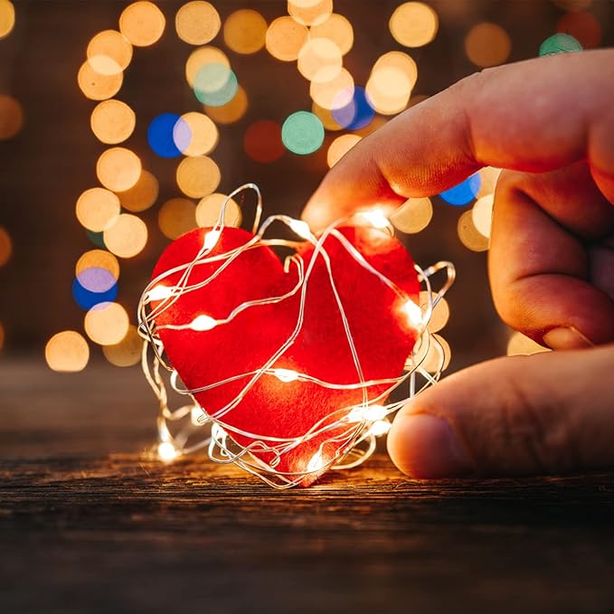 2ft Warm White String Lights for Yard, Waterproof LED