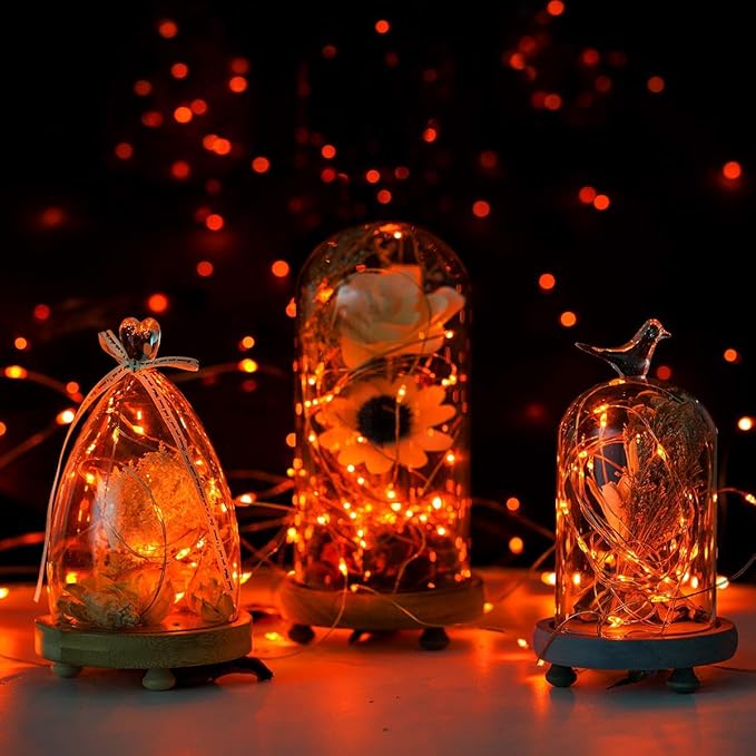 Christmas Yard String Lights 2-Pack, 30 LED Waterproof