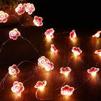 13ft Outdoor Edison String Lights, Weatherproof