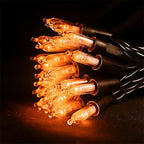 Black Halloween Lights 2-Packft LED Waterproof
