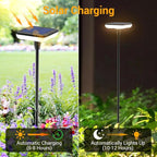 Solar Walkway Path Lights 4-Pack, IP65 Waterproof