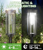 Solar Pathway Lights 2-Pack, Driveway LED
