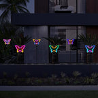 Solar Pathway Lights 2-Pack, Yard LED