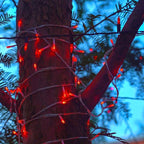300 LED Christmas Twinkle Lights, 5ft Waterproof for Yard