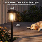 Black Solar Pathway Lights, Yard LED