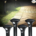 Solar Pathway Lights 4-Pack, Yard LED