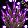 Christmas Fairy Lights, 20ft Battery Twinkle Lights