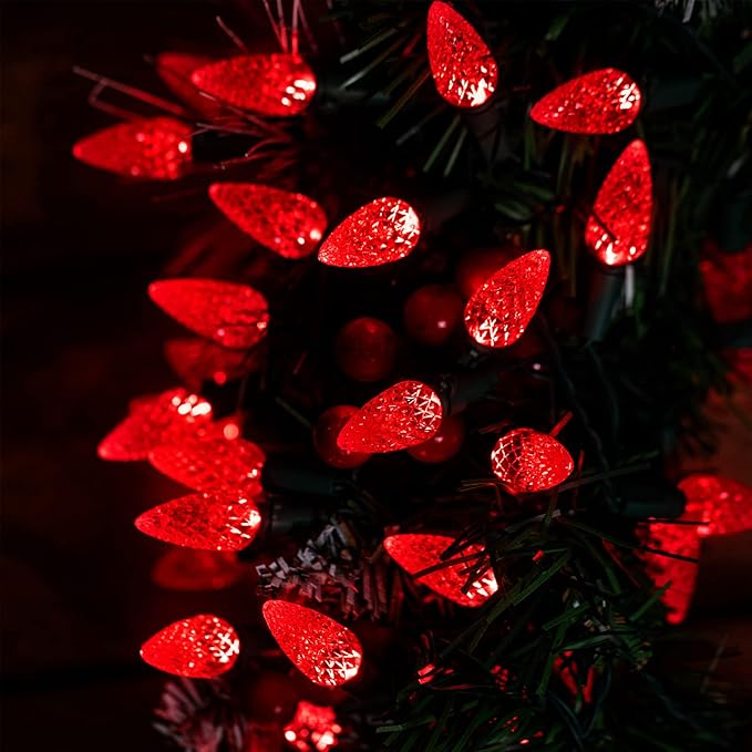 Christmas Yard String Lights, 20ft 6 LED Waterproof