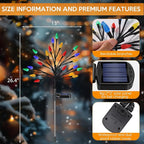 2-Pack Solar Path Lights, Outdoor Walkway LED