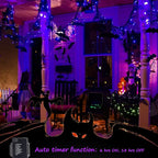 Christmas Porch String Lights 2-Pack, 50 LED Waterproof