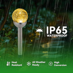 6-Pack IP66 Solar Landscape Lights for Walkway