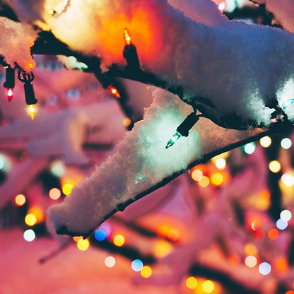 Christmas Fairy Lights, 50 LED Battery Twinkle Lights