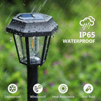 Solar Pathway Lights 8-Pack, Walkway LED