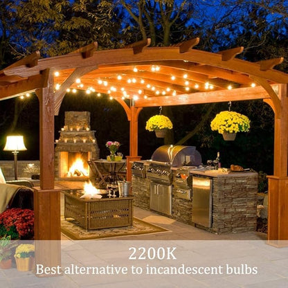 Outdoor String Lights 48ft with 23+2 Spare Bulbs, Shatterproof Dimmable Waterproof, LED 1W 60LM 2200K Warm Glow for Indoor/Outdoor Decoration and Lighting -Black Wire