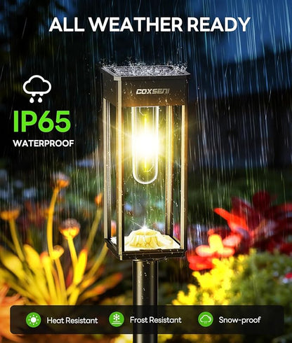 Solar Pathway Lights Outdoor IP65 Waterproof, 8 Pack 3000K LED Auto On/Off Walkway Landscape Light for Yard Lawn Garden Patio Driveway Outside Decor, Warm White