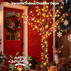 Christmas Backyard String Lights 2-Pack, 18ft 50 LED Waterproof