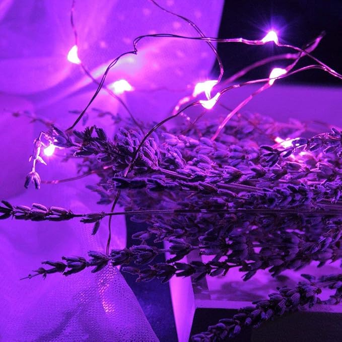 Christmas Fairy Lights 16-Pack, 2ft 30 LED Battery Twinkle Lights