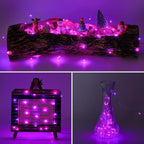 Christmas Fairy Lights 6-Pack, 16ft 50 LED Battery Twinkle Lights