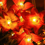 Warm White Christmas Lightsft LED Timer