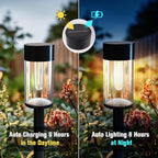Solar Pathway Lights 8-Pack, Garden LED