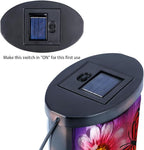 Butterfly Solar Lantern Set, Elegant Porch Lighting